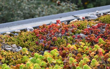 the cost of Essex green roof installation