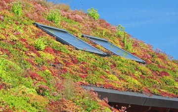 Essex living roof systems